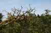 200908010195.JPG - 2009:08:01 13:18:33