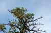 200908010198.JPG - 2009:08:01 13:18:47
