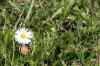 200908010203.JPG - 2009:08:01 13:21:30