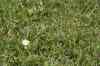 200908010204.JPG - 2009:08:01 13:21:37
