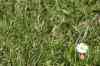 200908010205.JPG - 2009:08:01 13:21:41