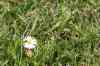 200908010206.JPG - 2009:08:01 13:21:46