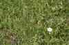 200908010208.JPG - 2009:08:01 13:21:51