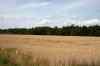 200908010234.JPG - 2009:08:01 13:31:32