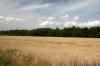 200908010235.JPG - 2009:08:01 13:31:36