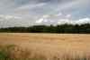 200908010237.JPG - 2009:08:01 13:31:44