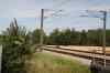 200908010242.JPG - 2009:08:01 13:32:53