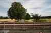 200908010287.JPG - 2009:08:01 13:37:41