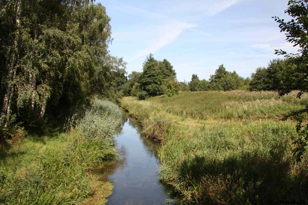 * Image 4