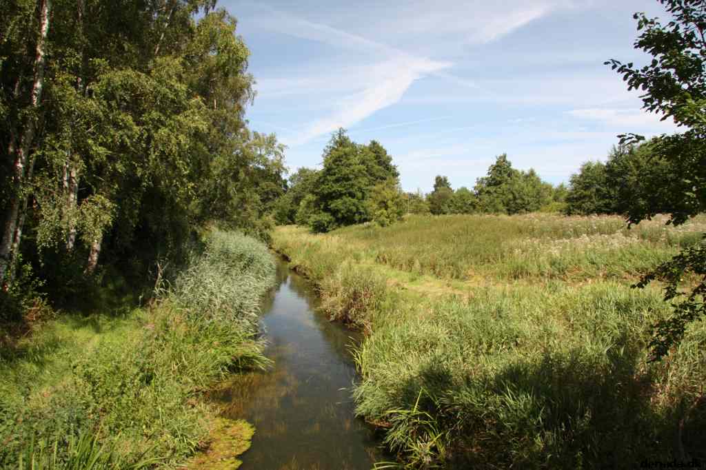 * Image 5
