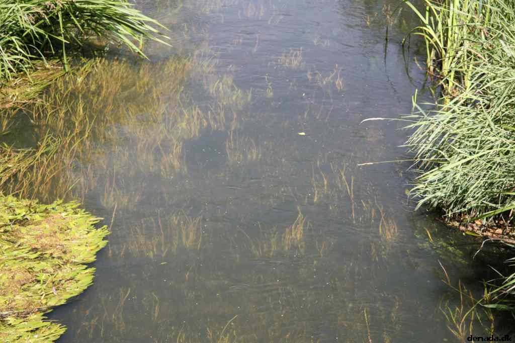 * Image 6