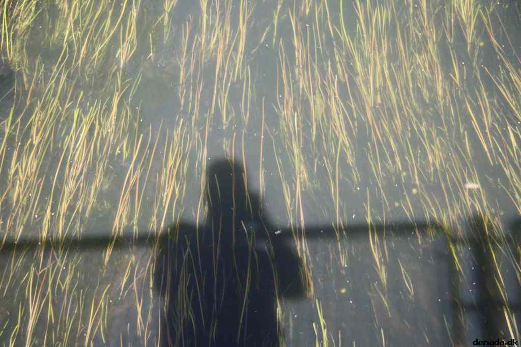 * Image 8