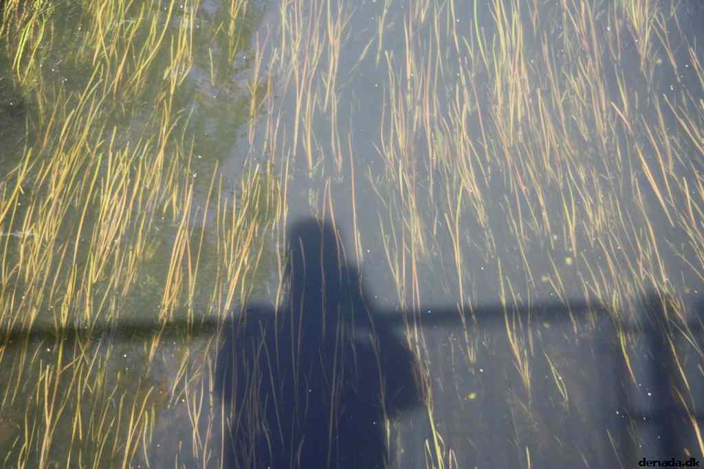 * Image 9
