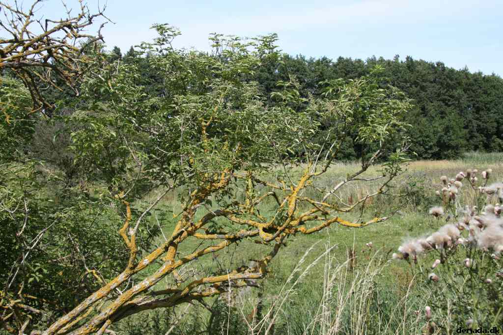 * Image 68