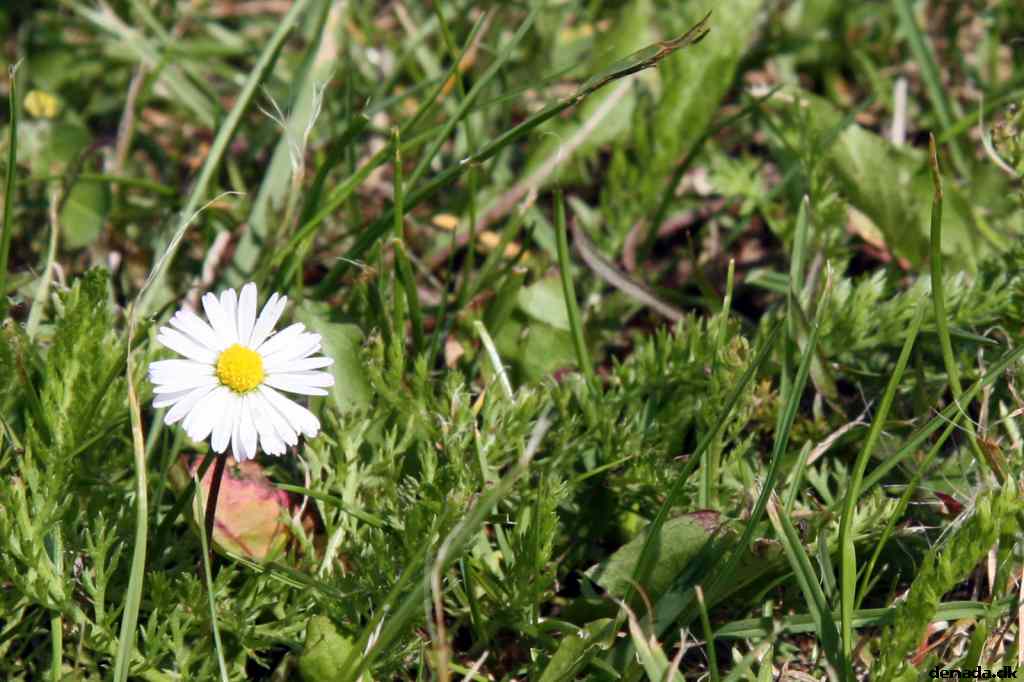 * Image 71