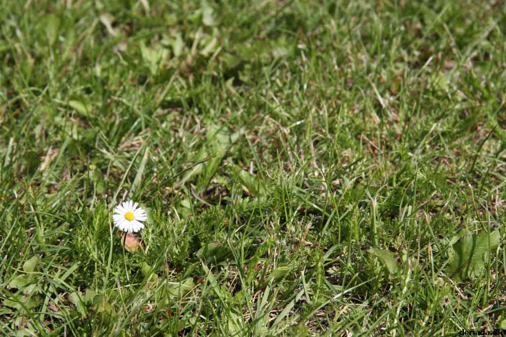 * Image 72