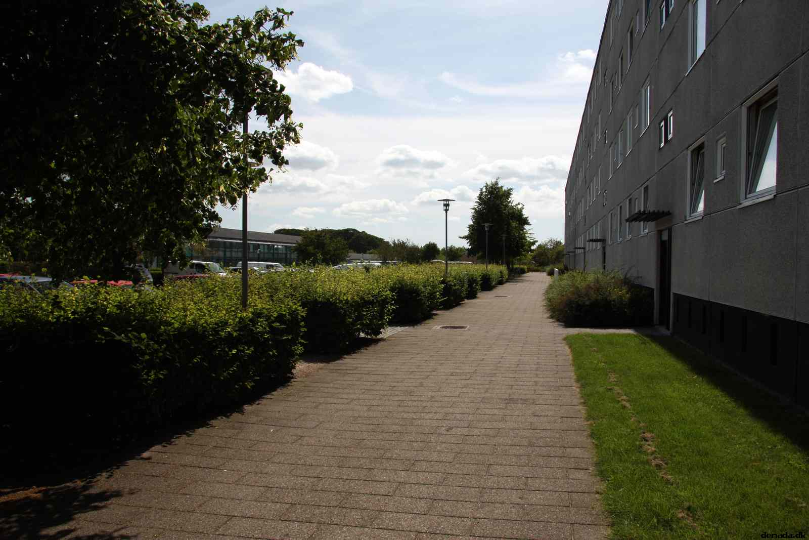 * Image 1