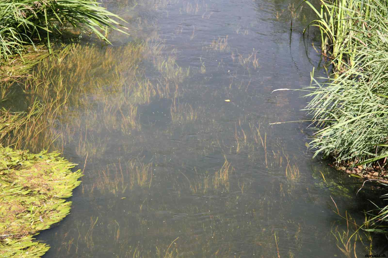 * Image 6