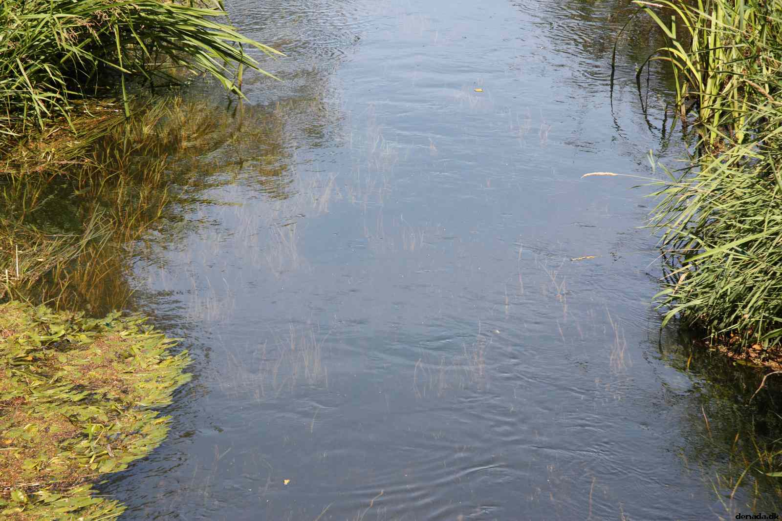 * Image 7