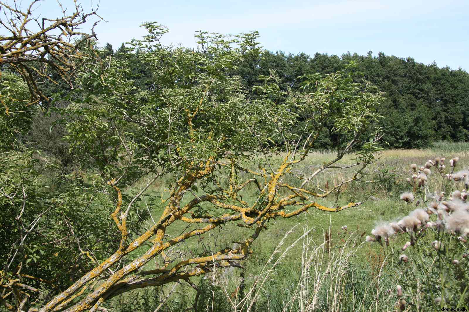 * Image 68