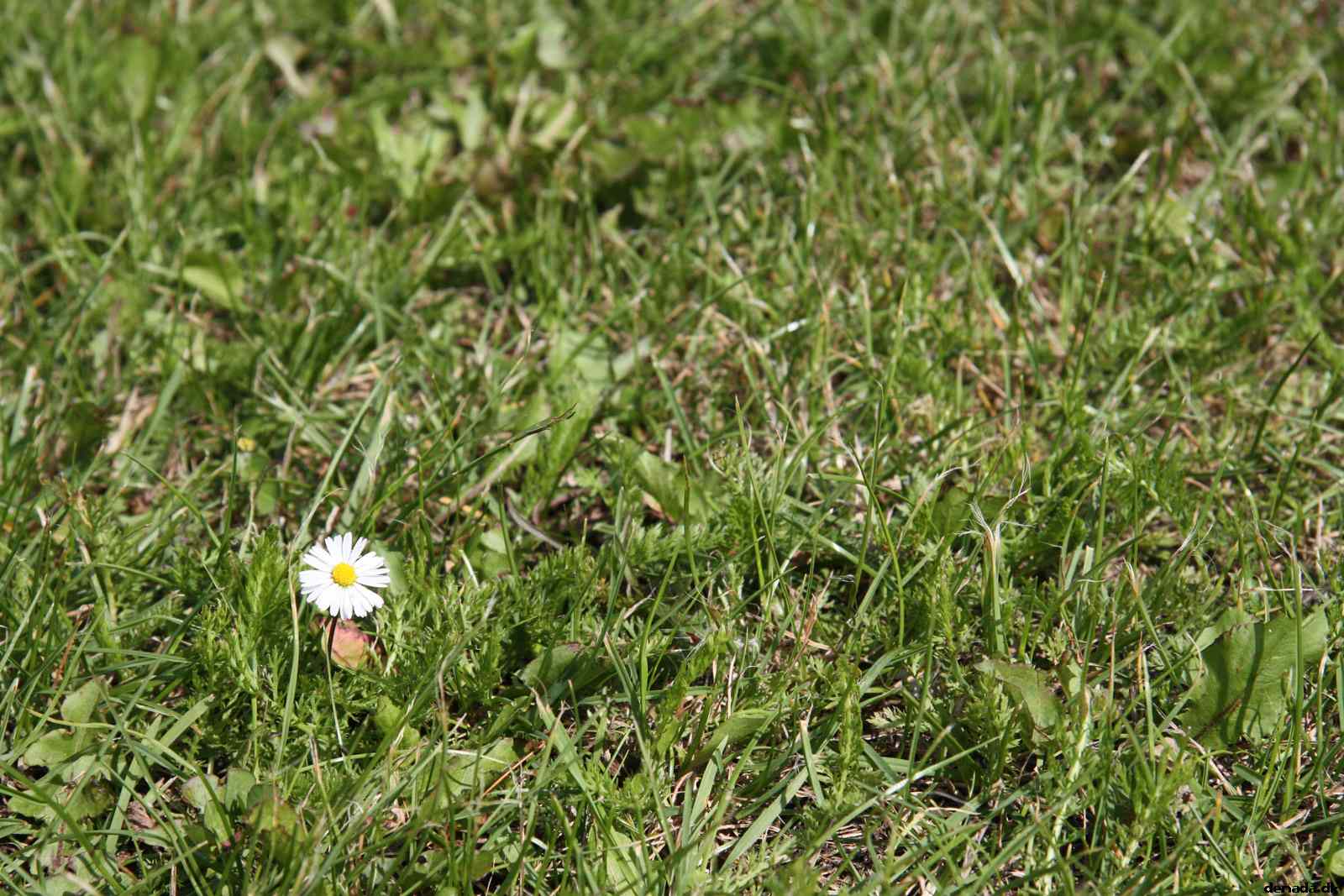 * Image 72