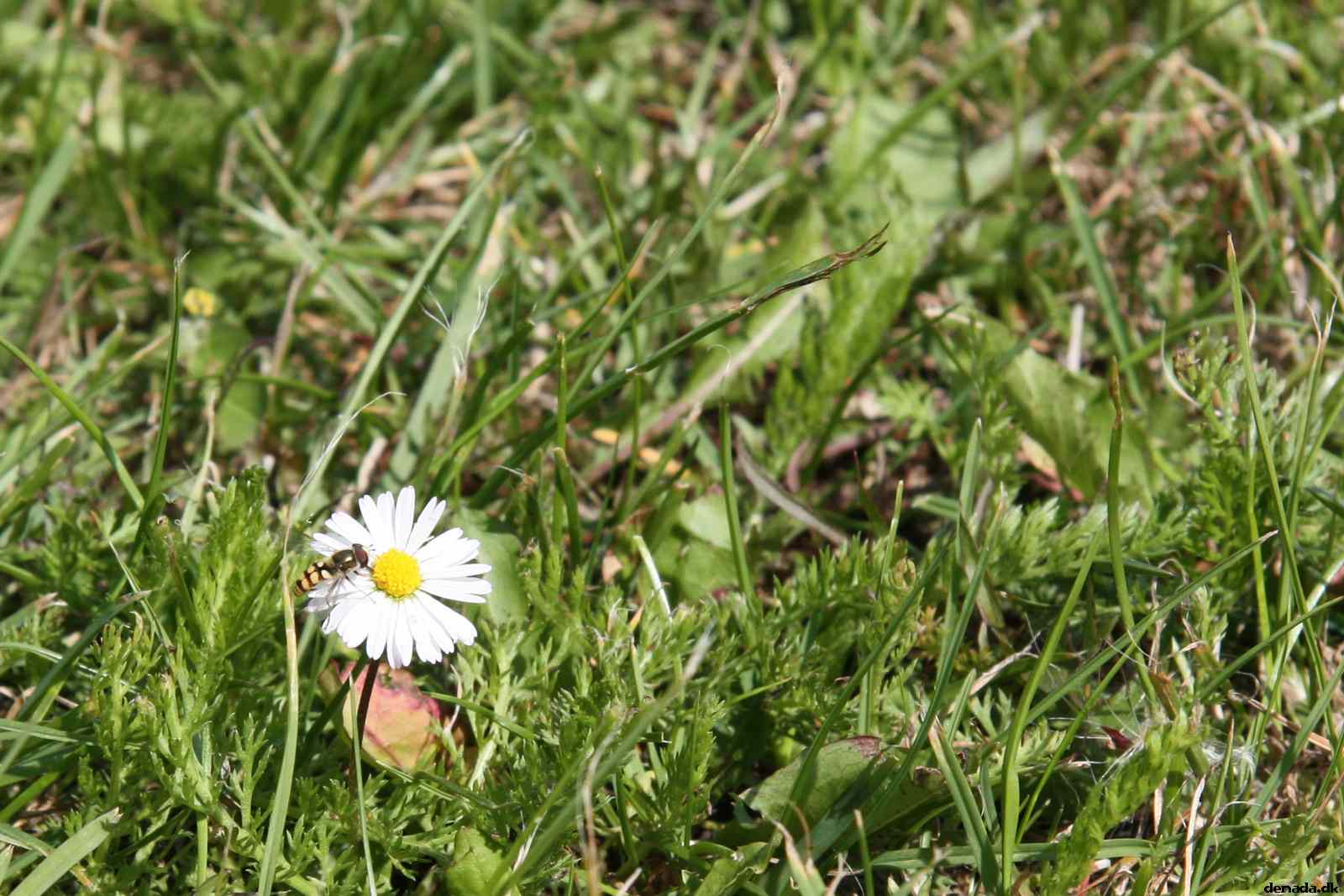 * Image 74