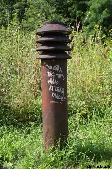 * Image 78