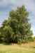 200908010141.JPG - 2009:08:01 13:11:36