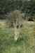 200908010174.JPG - 2009:08:01 13:15:52