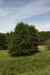 200908010175.JPG - 2009:08:01 13:15:59