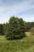 200908010177.JPG - 2009:08:01 13:16:15