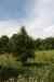 200908010180.JPG - 2009:08:01 13:16:29