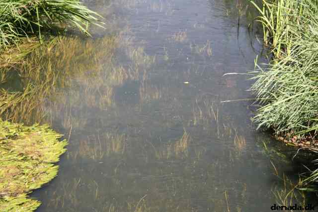 * Image 6