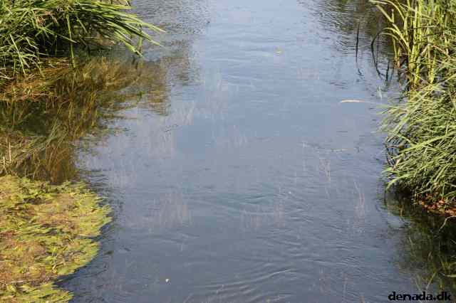 * Image 7