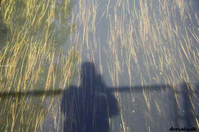 * Image 9