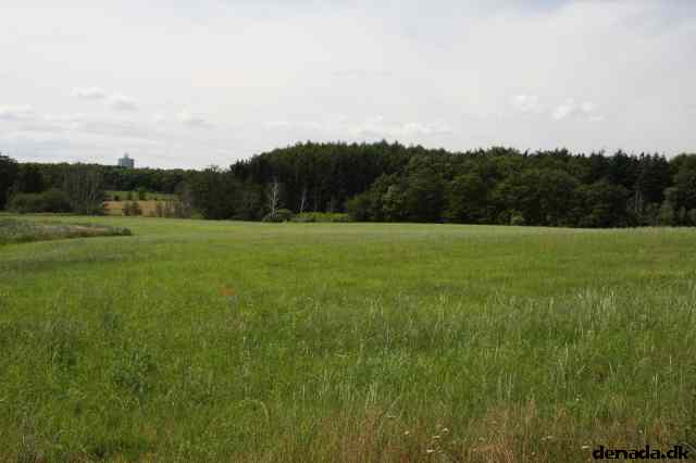 * Image 51