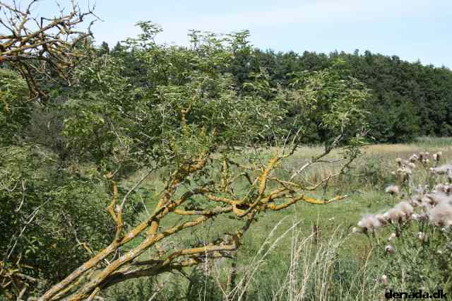 * Image 68