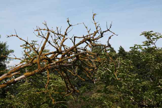 * Image 69
