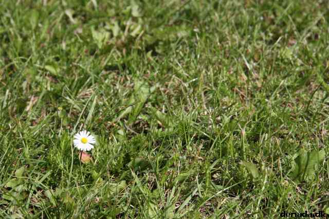 * Image 72