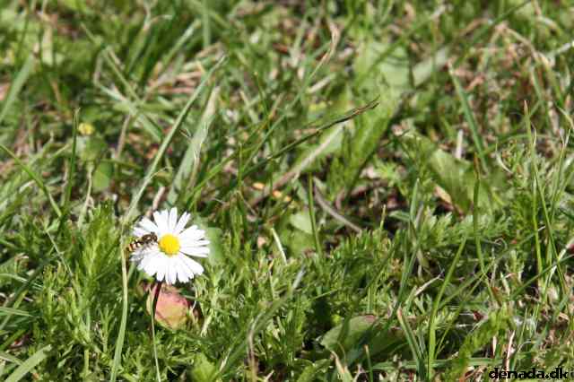 * Image 74