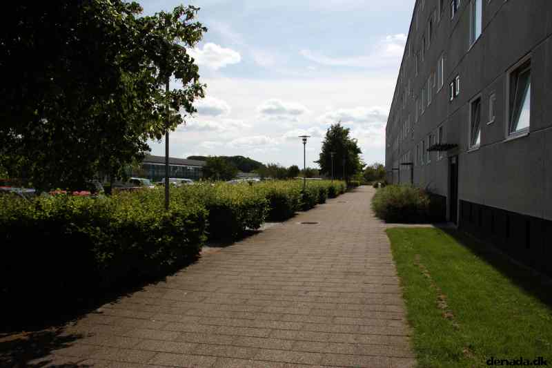 * Image 1
