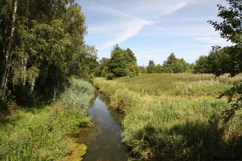 * Image 5