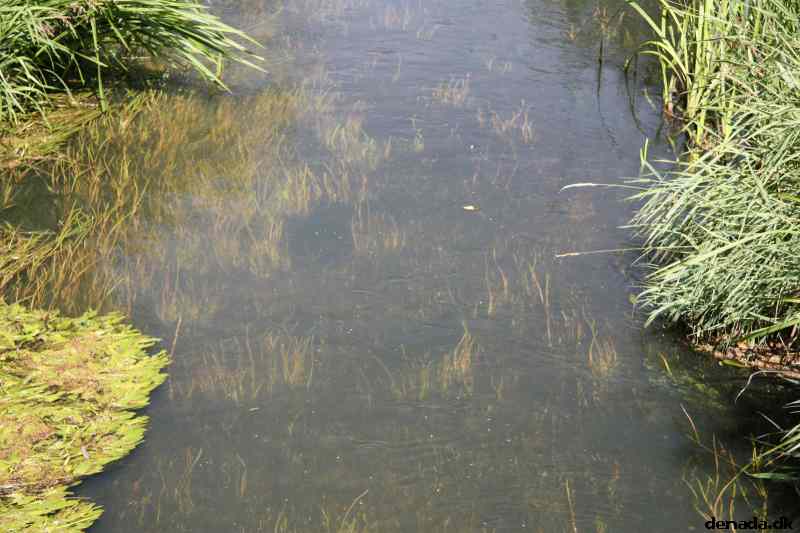 * Image 6