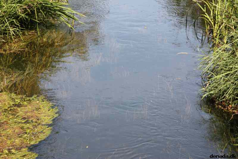* Image 7