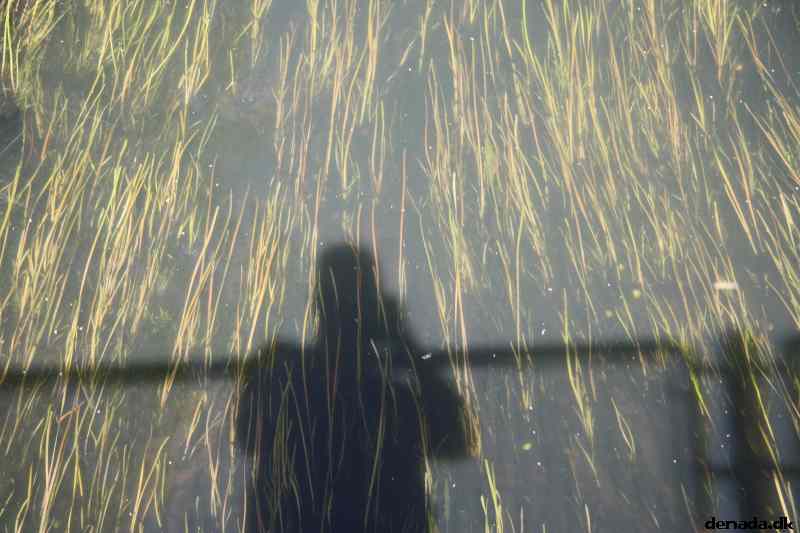 * Image 8