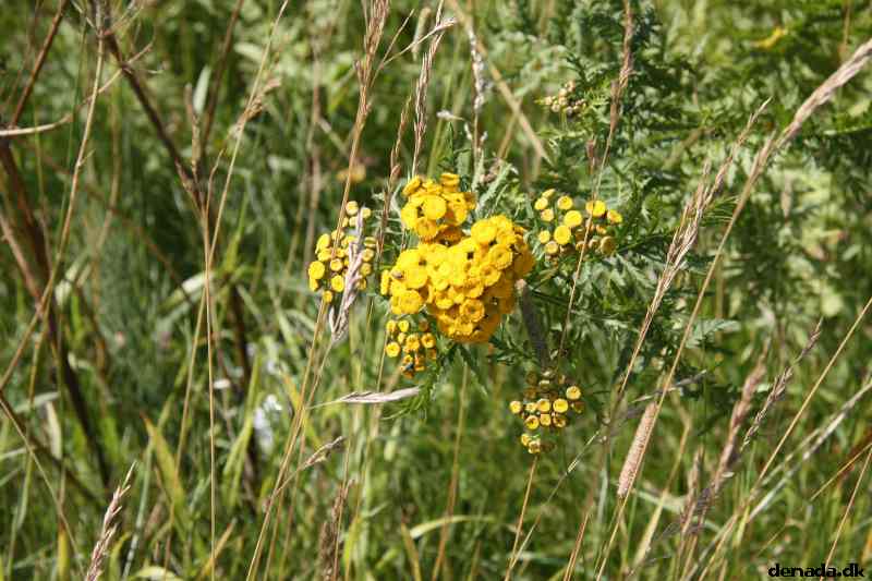 * Image 13