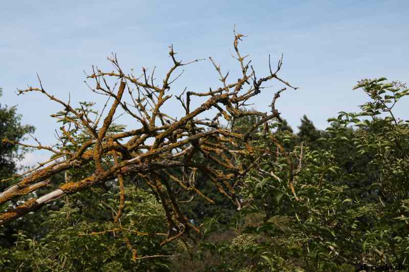 * Image 69