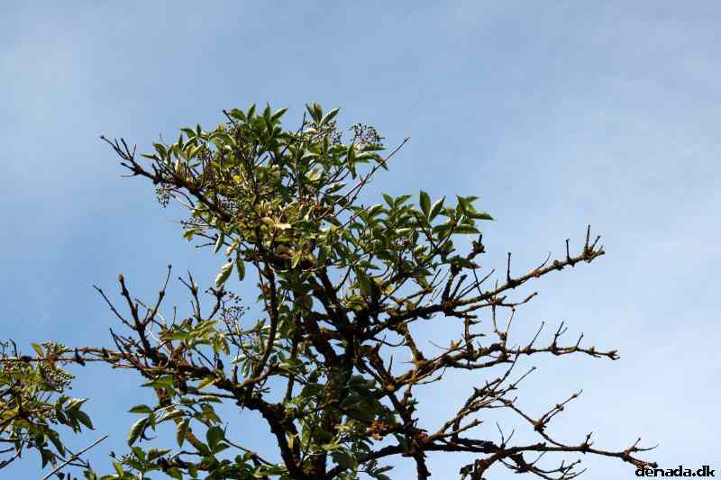 * Image 70