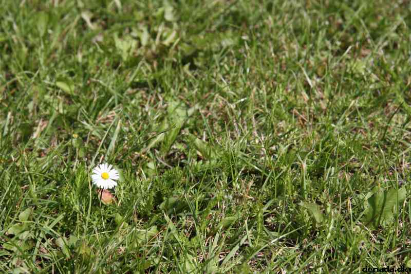 * Image 72