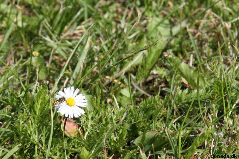 * Image 74